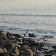 Baja2011 504 : Baja2011